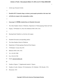 1 Article type: Research Article 1 2 Dendritic HCN channels shape