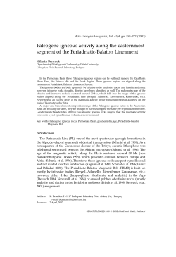 Paleogene igneous activity along the easternmost segment of the