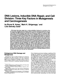 DNA Lesions, Inducible DNA Repair, and Cell Division: Three Key
