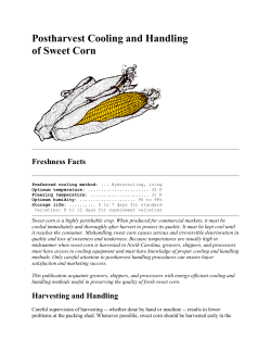 Postharvest Cooling and Handling of Sweet Corn - NCSU-BAE