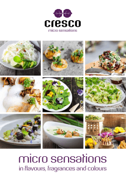 Taste of the Sea