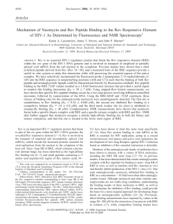 Articles Mechanism of Neomycin and Rev Peptide Binding to the
