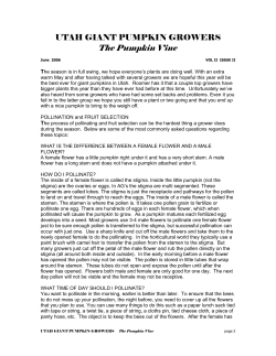 June 2006 - Utah Giant Pumpkin Growers