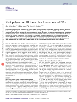 RNA polymerase III transcribes human microRNAs
