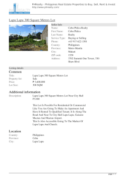 Lapu Lapu 300 Square Meters Lot