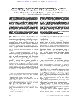Antiphospholipid Antibodies Accelerate Plasma