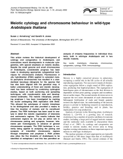 Meiotic cytology and chromosome behaviour in wild