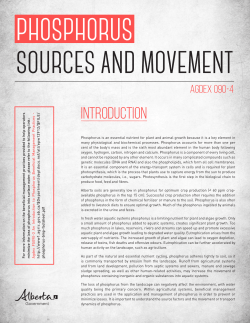 Phosphorus Sources and Movement