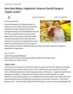 How Does Being a Vegetarian Conserve Overall Energy in Trophic