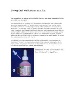 Giving Oral Medications to a Cat