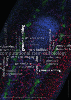Genome Editing - German Stem Cell Network