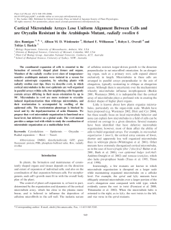 Full Text  - Plant and Cell Physiology