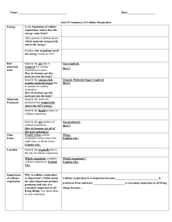 Aim 19: Summary of Cellular Respiration Energy In the beginn