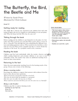 The Butterfly, the Bird, the Beetle and Me