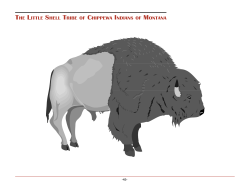 Montana Indians Their History and Location