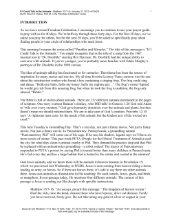 If I Could Talk to the Animals