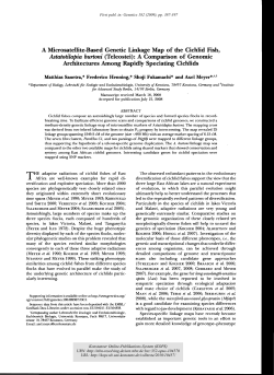 A Microsatellite-Based Genetic Linkage Map of the