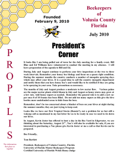 Newsletter July 2010