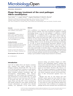 Phage therapy treatment of the coral pathogen Vibrio coralliilyticus