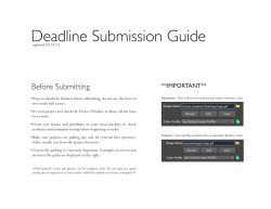 Deadline Submission Guide