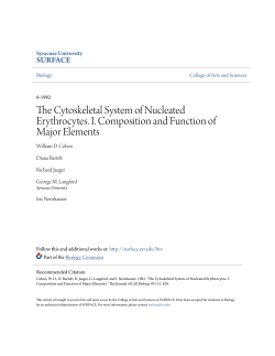 The Cytoskeletal System of Nucleated Erythrocytes. I