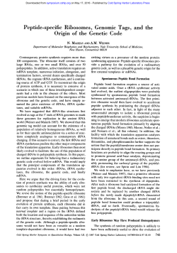 as a PDF