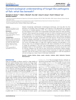 Current ecological understanding of fungal