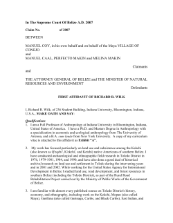 First Affidavit of Richard Wilk - UA Law Home