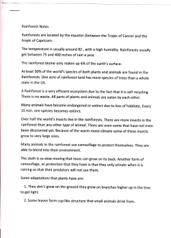 raining so that their predators will not see them.