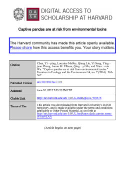 Panda conservation at risk from environmental pollution