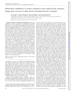 Differential contribution of central command to the cardiovascular