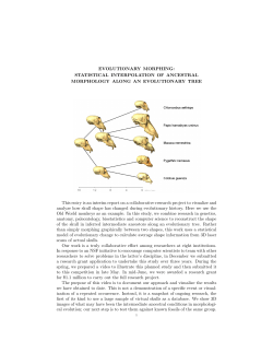 PDF 705 kB