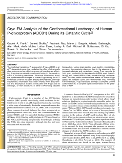 Cryo-EM Analysis of the Conformational Landscape of Human P