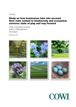 Study on how businesses take into account their risks related to