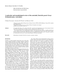 A molecular and morphological review of the