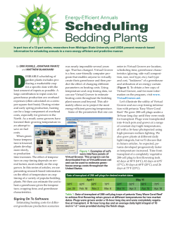 Scheduling Bedding Plants - MSU Floriculture