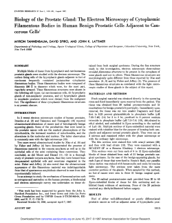 Biology of the Prostate Gland: The Electron Microscopy of