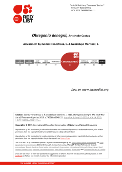 Obregonia denegrii, Artichoke Cactus