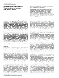 Electrophysiological Correlates of Visual Adaptation to Faces and