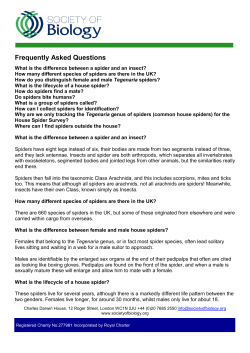 Frequently Asked Questions
