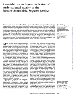 Courtship as an honest indicator of male parental