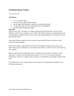 45-Minute Roast Turkey