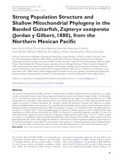 Strong Population Structure and Shallow Mitochondrial Phylogeny