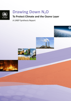 UNEP Report - North American Nitrogen Center