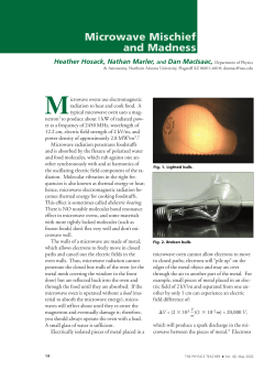 Microwave Mischief and Madness