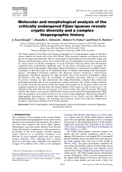 Molecular and morphological analysis of the critically