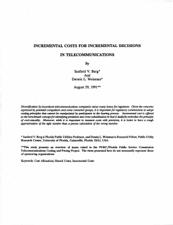 incremental costs for incremental decisions in telecommunications