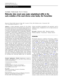 Molecular data reveal some major adaptational shifts in the early