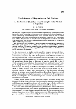 The Influence of Magnesium on Cell Division