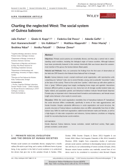 Charting the neglected West: The social system of